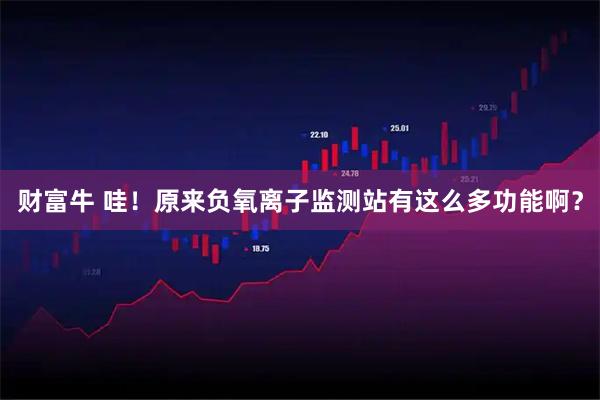 财富牛 哇！原来负氧离子监测站有这么多功能啊？